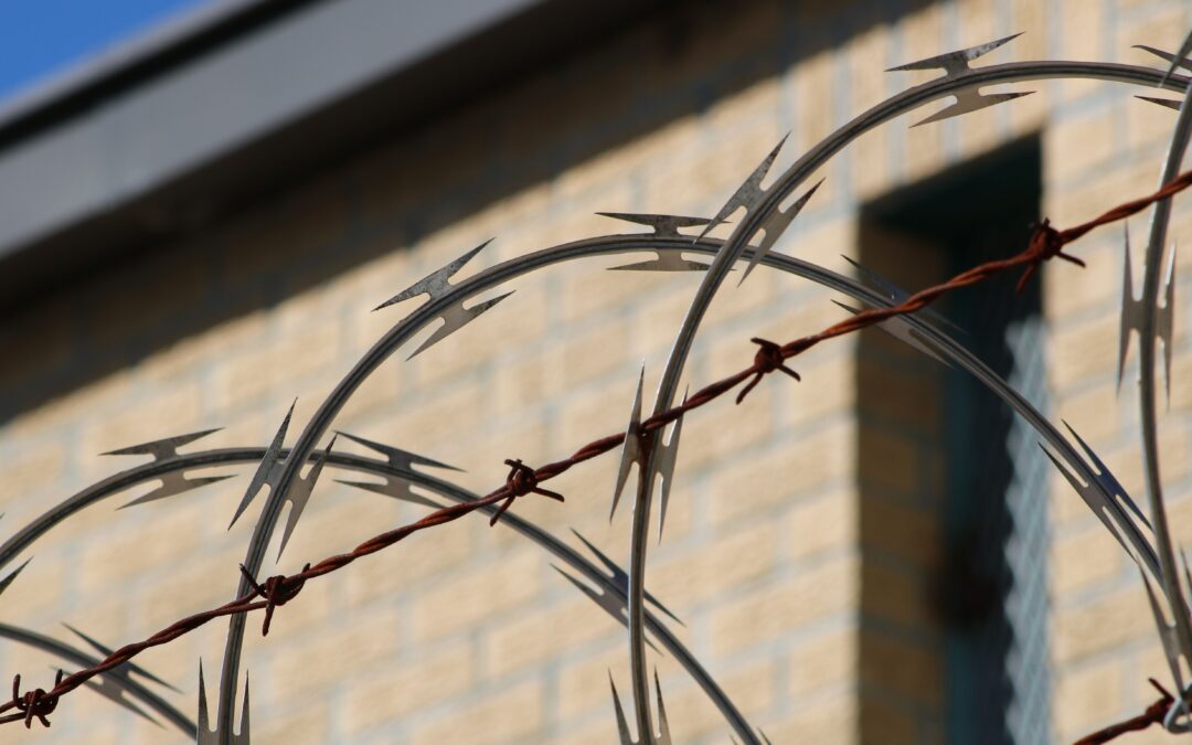 ECtHR: V.M. v Poland Intervention in a case concerning immigration detention of children and family
