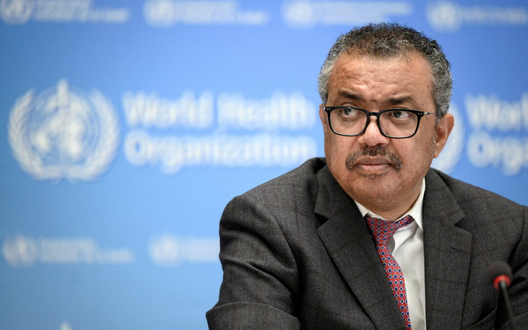 Global organizations’ statement repeats calls on the World Health Organization to ensure a Pandemic Treaty grounded in human rights law and standards