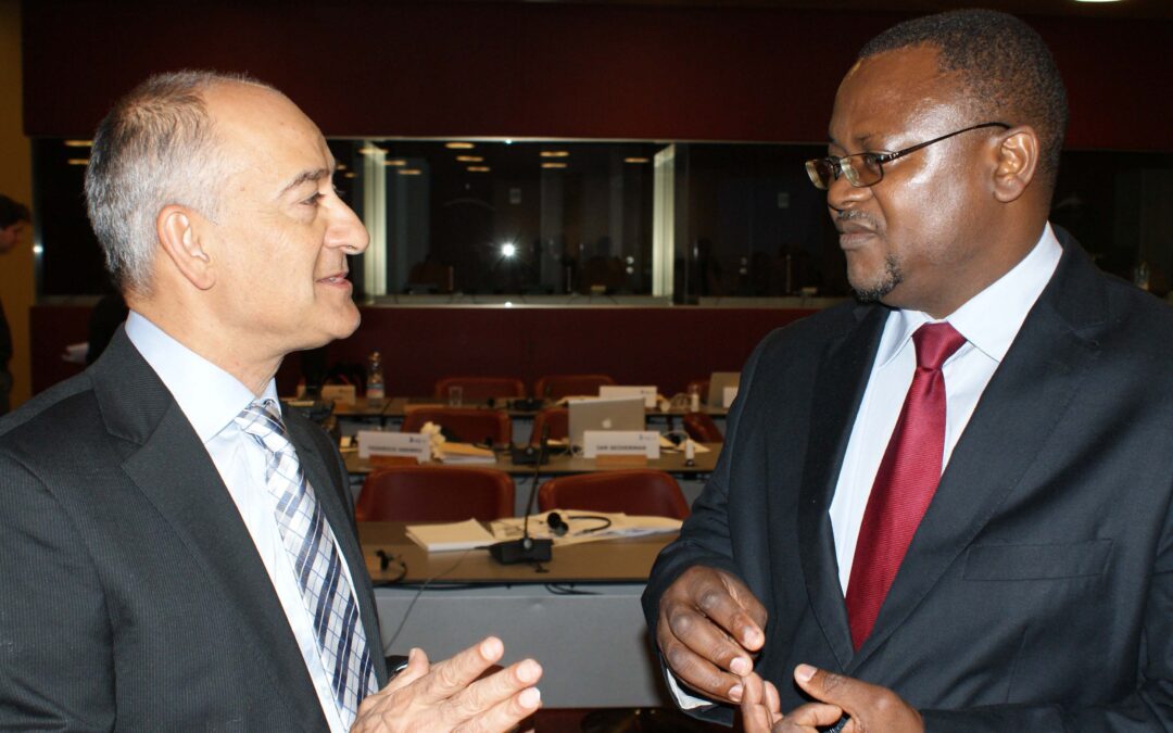 Rule of law and elections in Africa : recent experiences by Arnold Tsunga