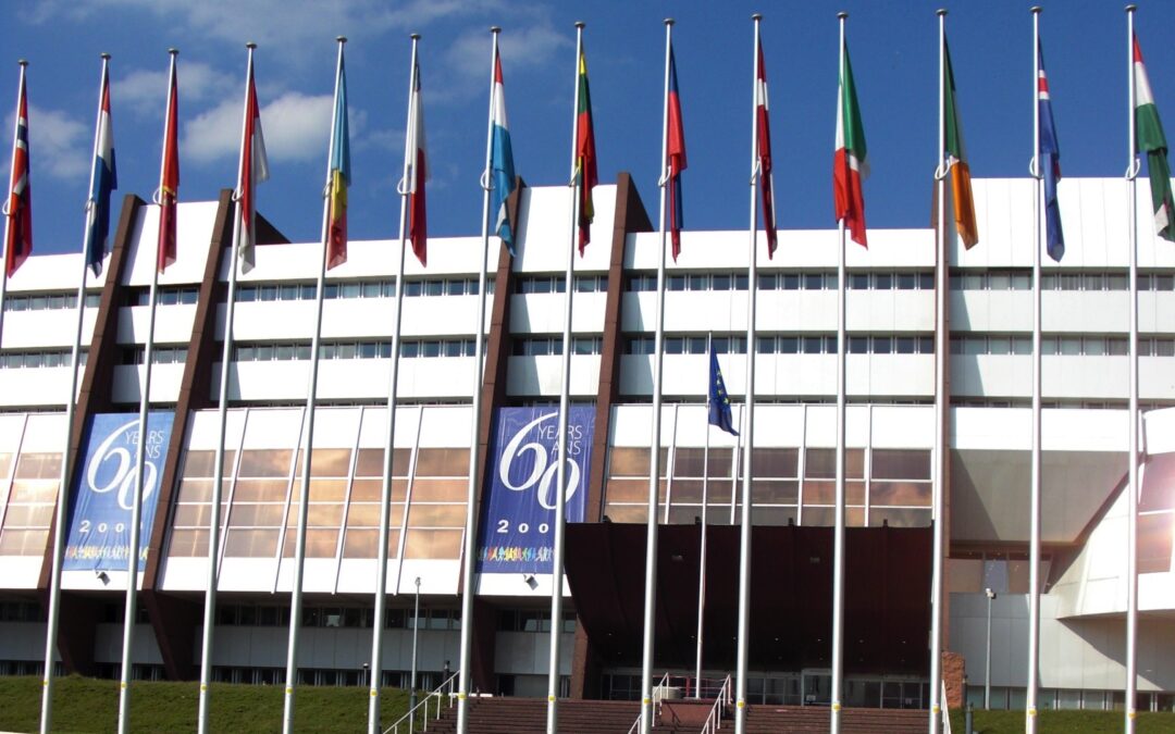Council of Europe: ICJ and AI submission on draft foreign fighters protocol