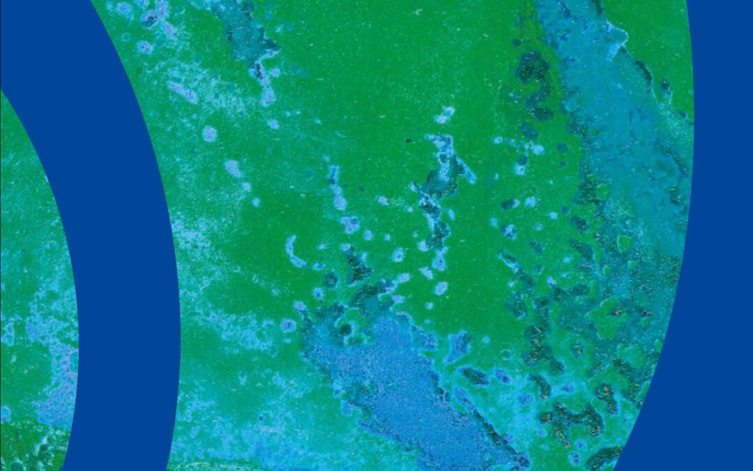 Annual report: read what the ICJ did in 2018 to protect human rights
