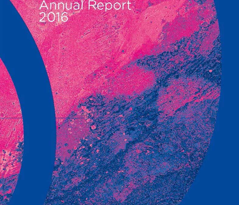 ICJ Annual Report 2016 now online!