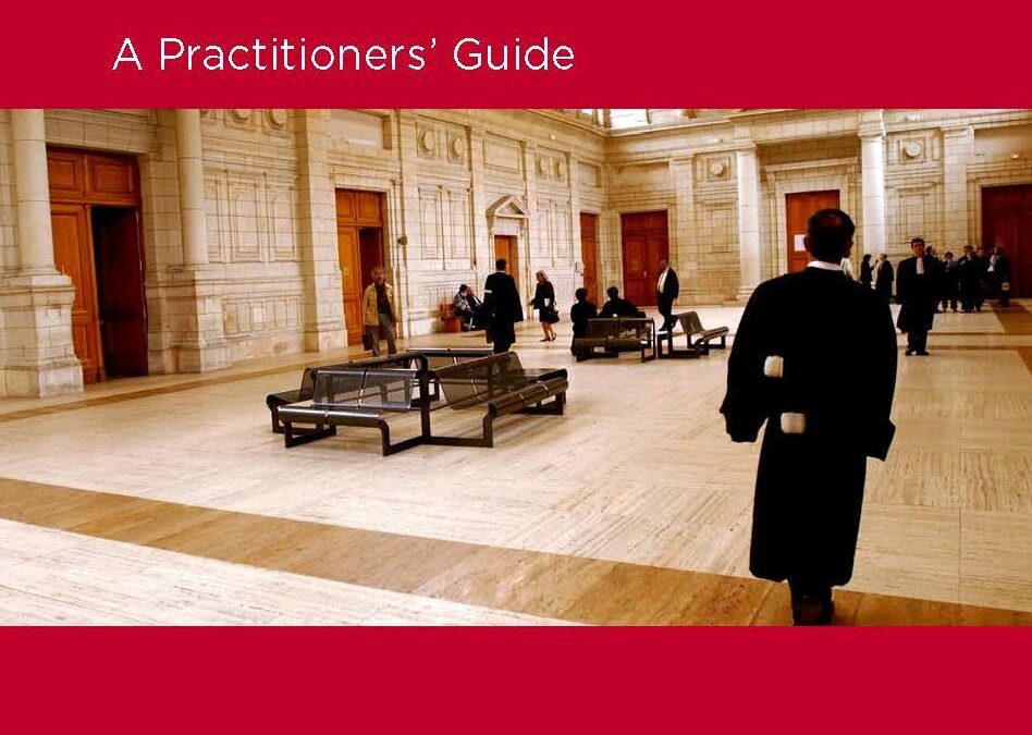 The investigation and prosecution of potentially unlawful death: ICJ Practitioners’ Guide no. 14