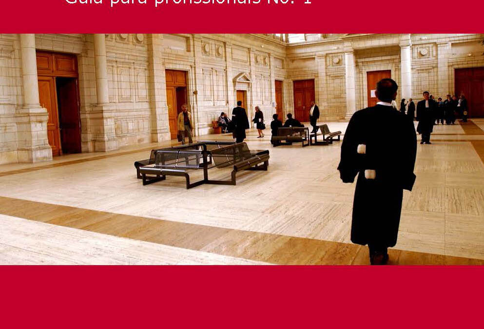 Practitioners’ Guide N°1 now available in Portuguese