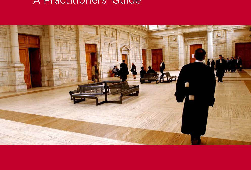 Enforced Disappearance and Extrajudicial Execution: the Right of Family Members – ICJ Practitioners Guide No 10 now also in English