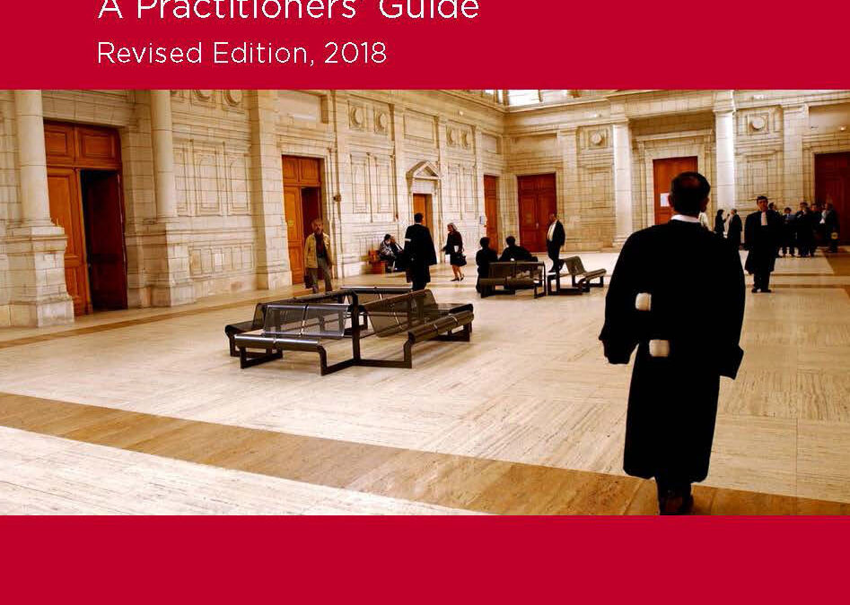 The right to a remedy and reparation for gross human rights violations – 2018 update to Practitioners’ Guide No 2