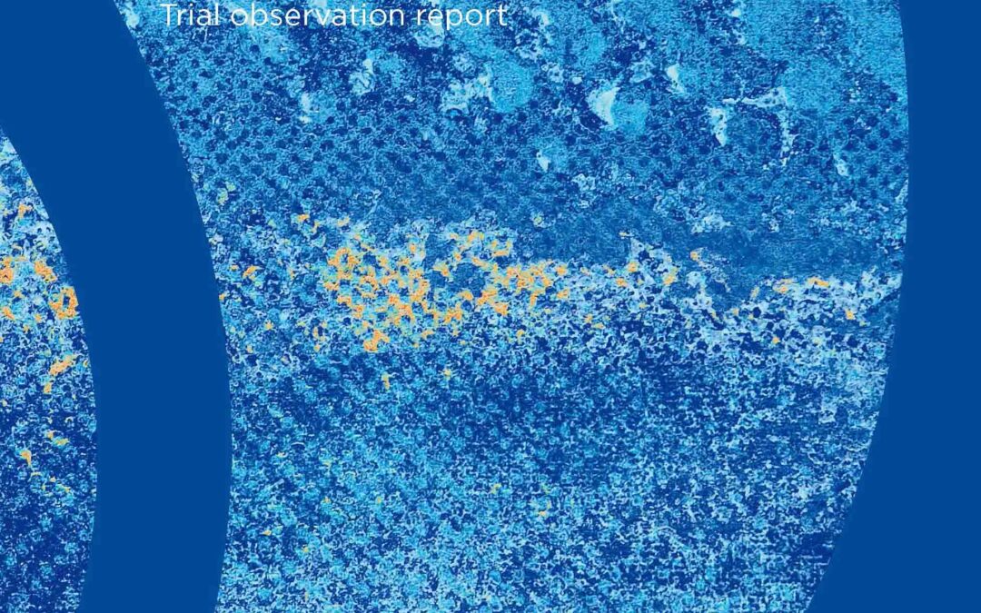 ICJ new report on court hearings on NGOs designated as “foreign agents” in Russia