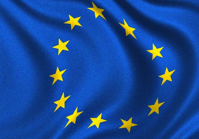 Council of Europe: committee for the development of Human Rights