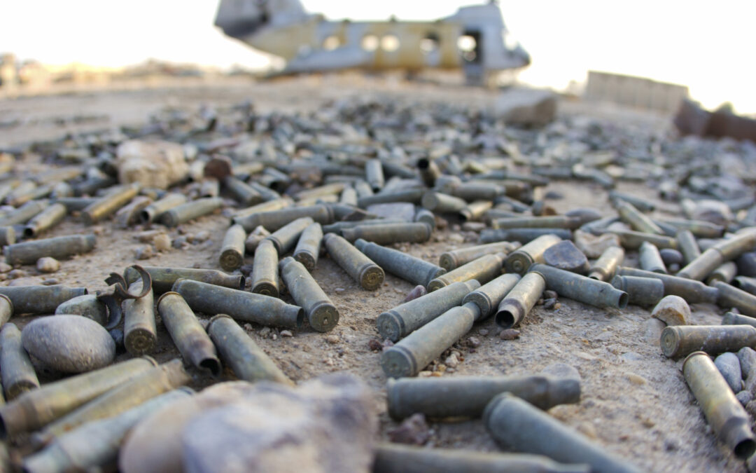 The Berlin Declaration on Upholding Human Rights and the Rule of Law in Combating Terrorism