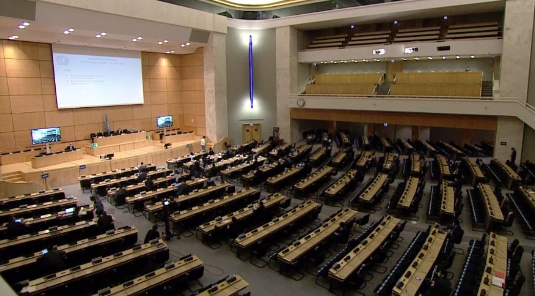 NGOs defend independence of UN human rights experts