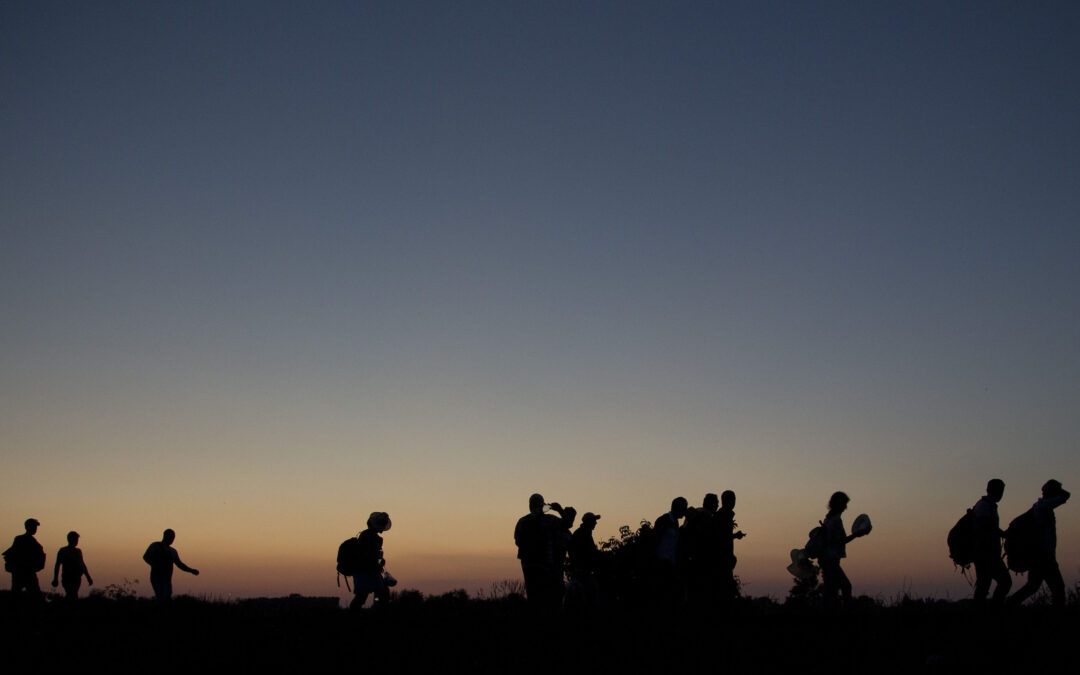 Principles on the Role of Judges and Lawyers in relation to Refugees and Migrants