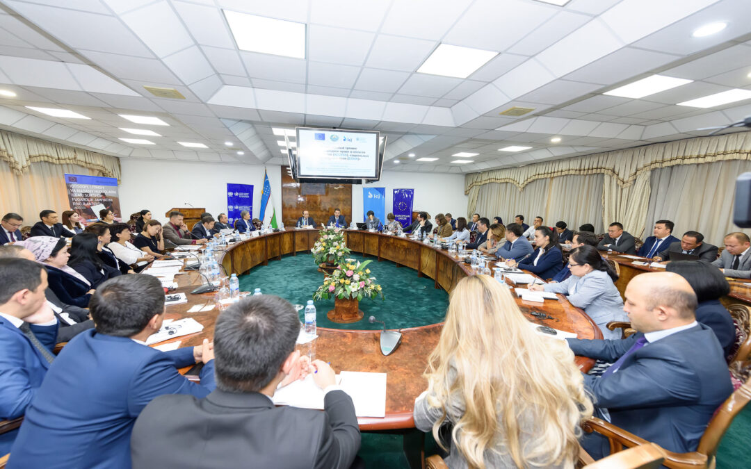 National online-training on international law on economic, social and cultural rights held in Tashkent