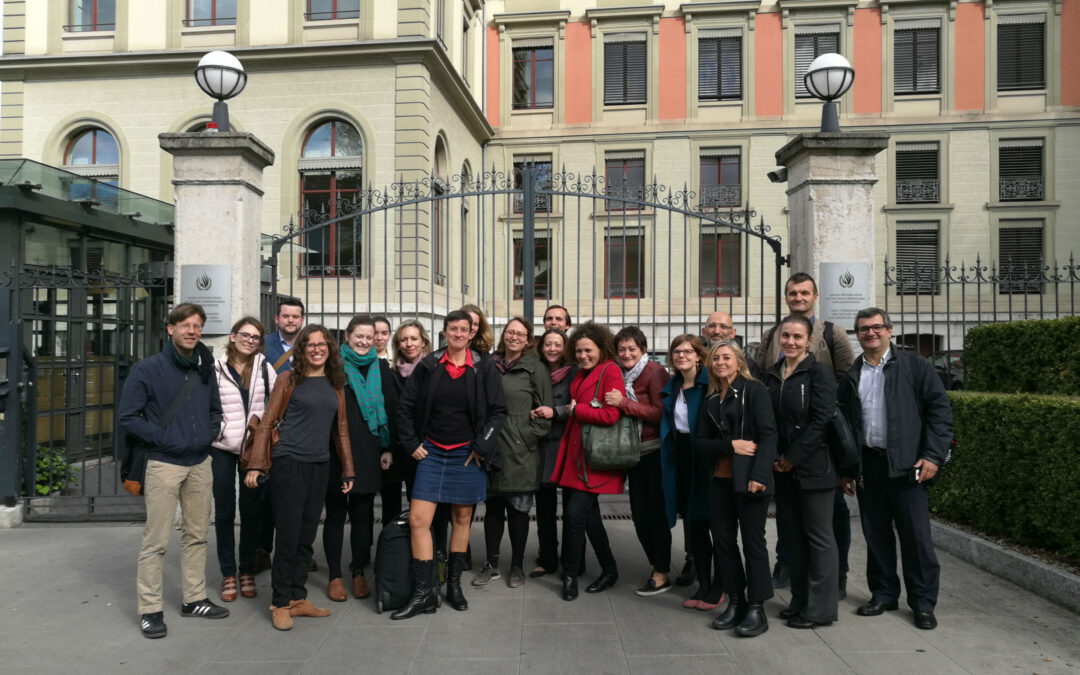 Strategic litigation retreat for migrant children’s lawyers