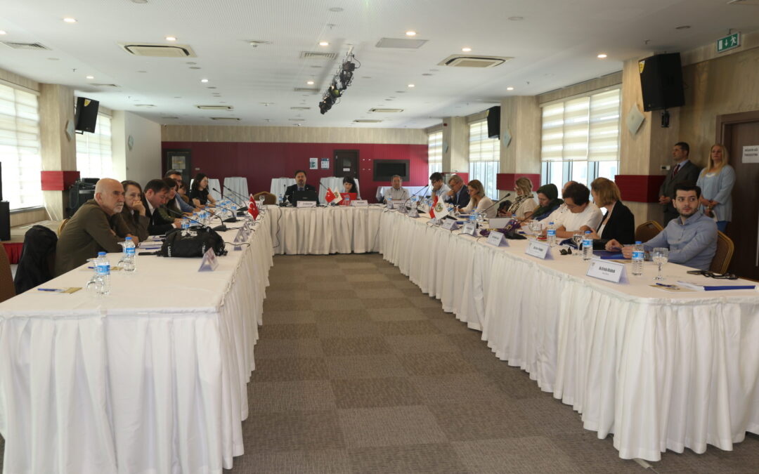 Turkey: Effective use of international human rights mechanisms in environmental protection training programme