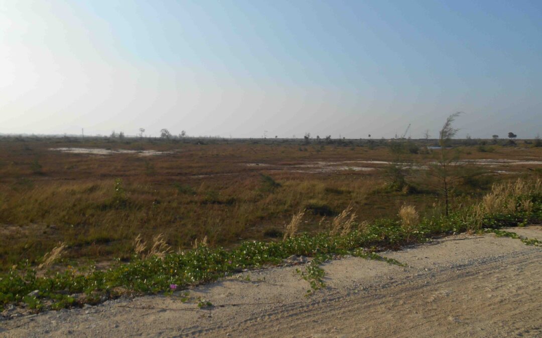 Myanmar: it’s time for transparency over the Kyaukphyu Special Economic Zone
