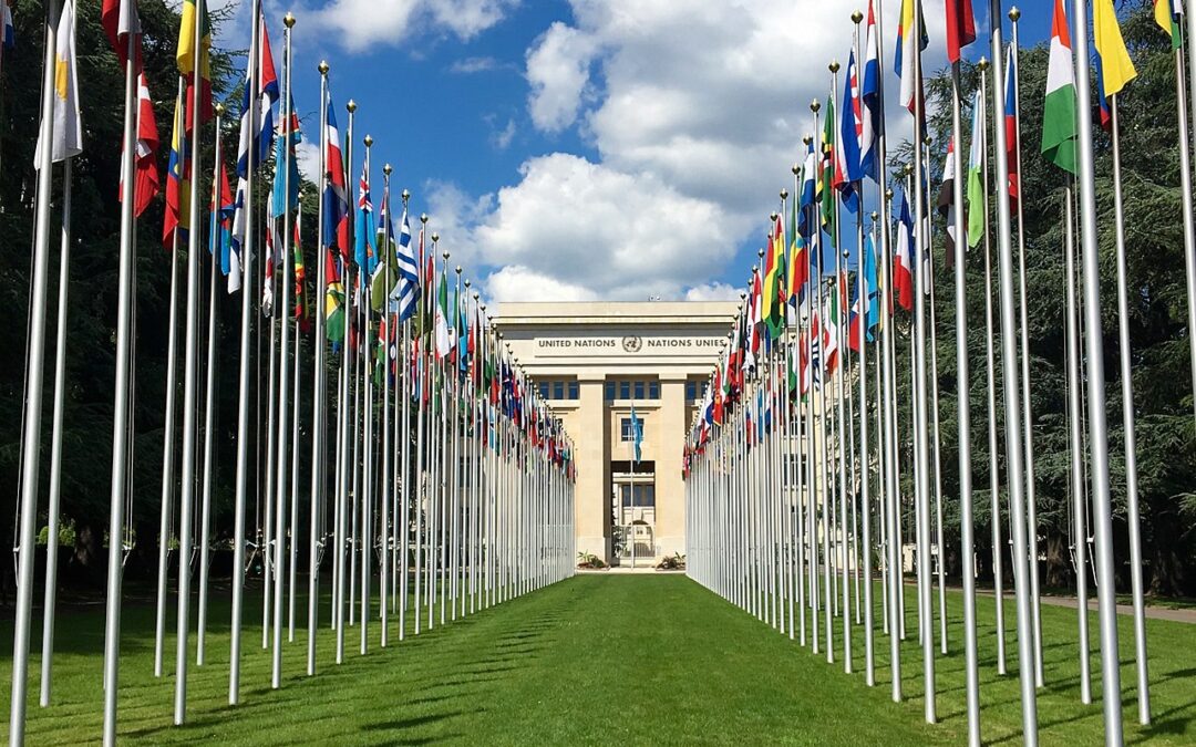 Overview of the September 2019 Human Rights Council session