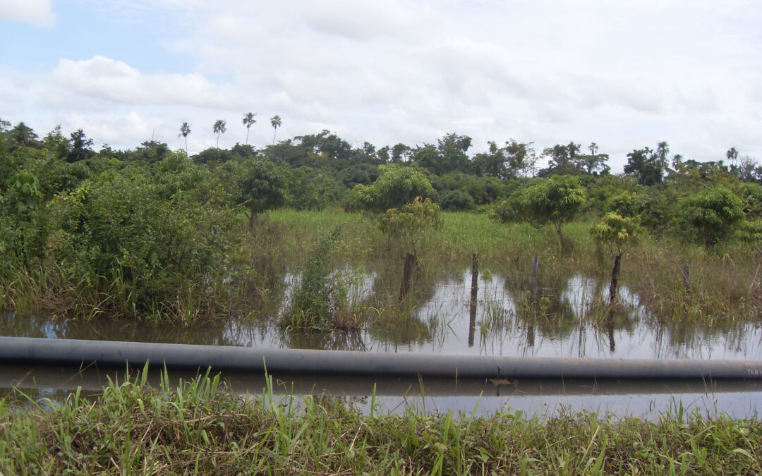 Guatemala: nuevas presiones en contra de la jueza Karla Hernández de El Petén por caso de contaminación ambiental en el río la Pasión