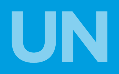 UN Human Rights Sub-Commission: achievements in the face of increasing marginalisation