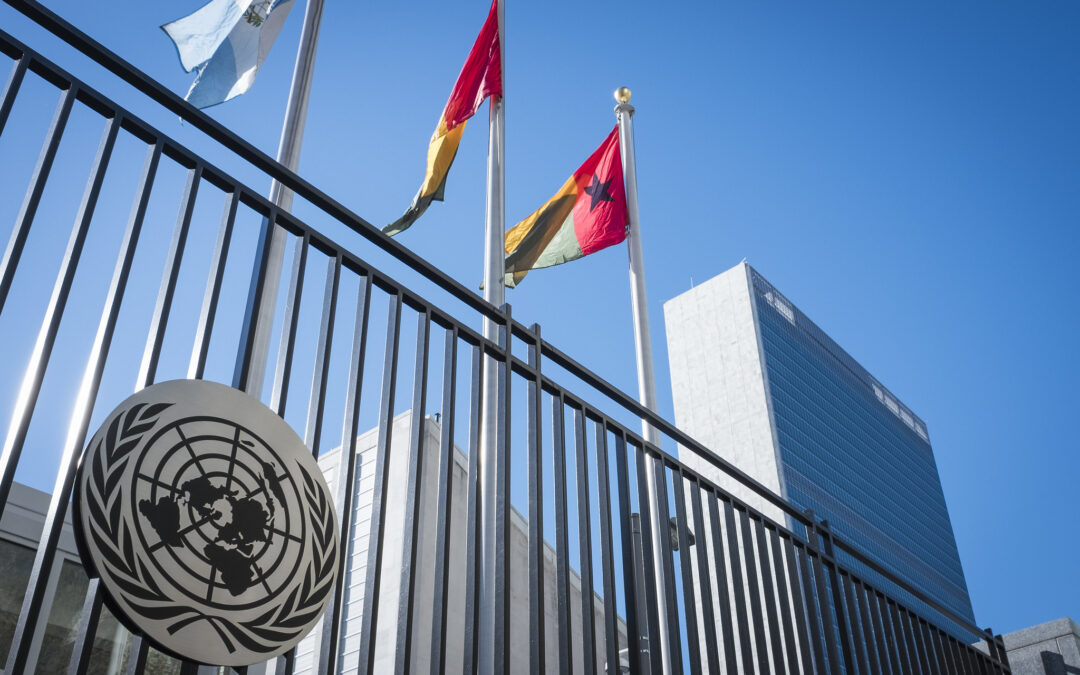 Submission reiterates ICJ’s strong commitment to the UN treaty body system