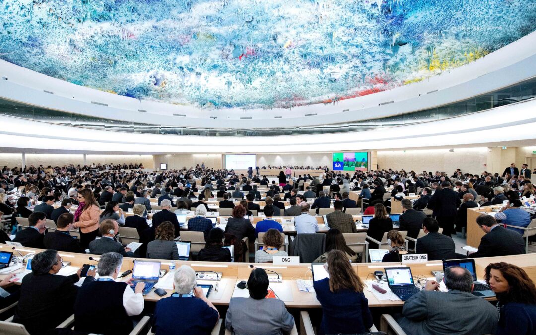 NGOs call for UN Special Rapporteur on Privacy
