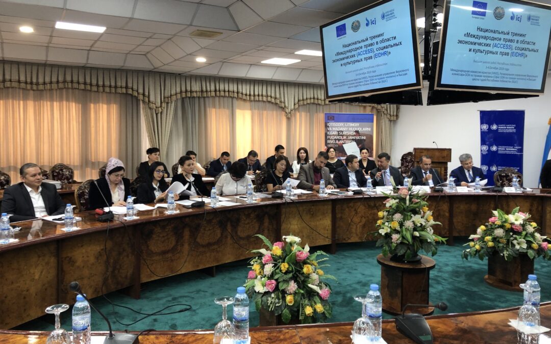 Uzbekistan: national trainings address international law on economic, social and cultural rights issues