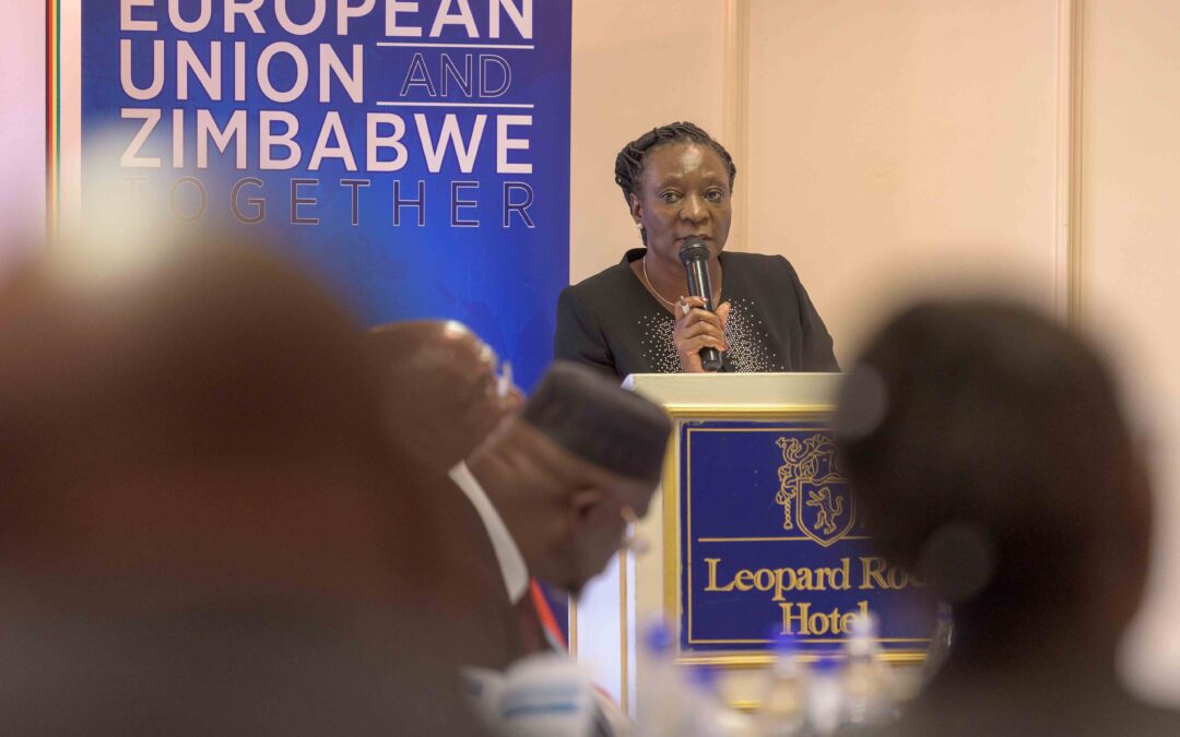 Zimbabwe: ICJ partners with Zimbabwe’s Judicial Service Commission to improve justice service delivery