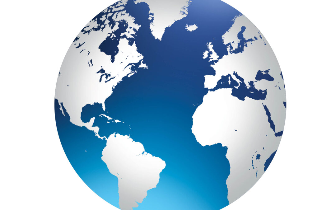 The role of non-governmental organisations in the promotion and protection of human rights