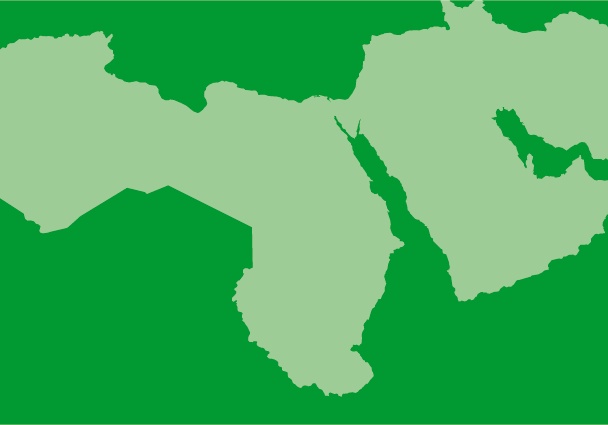 middle_east_north_africa-01-195.png