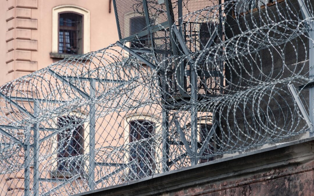ECtHR: V.M. v Poland Intervention in a case concerning immigration detention of children and family