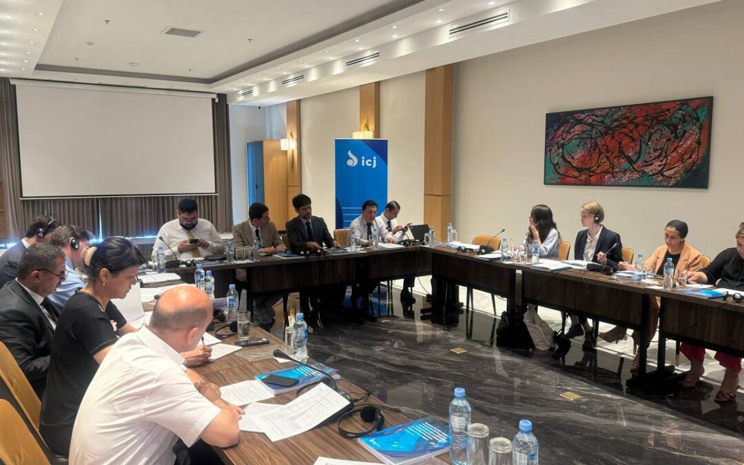 Tajikistan: Workshop with practitioners highlights need for effective prevention of torture