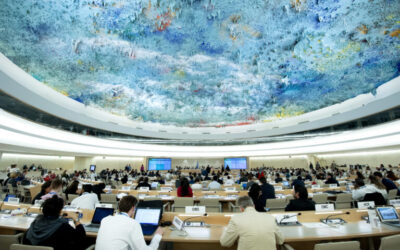 Our work with the UN