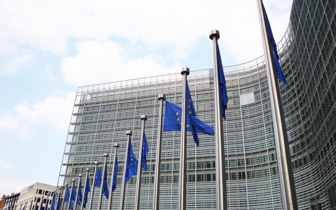 EU: ICJ and over 320 organisations call for urgent action against Hungary’s repressive ‘Transparency of Public Life’ bill