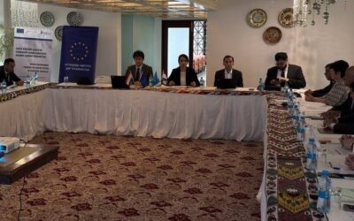 Tajikistan: judicial trainings on international law and standards on gender-based violence