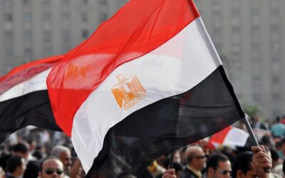 UN human rights experts find Egypt’s detention of activist Ahmad Assayed Suleiman (“Gika”) arbitrary and call for his immediate release